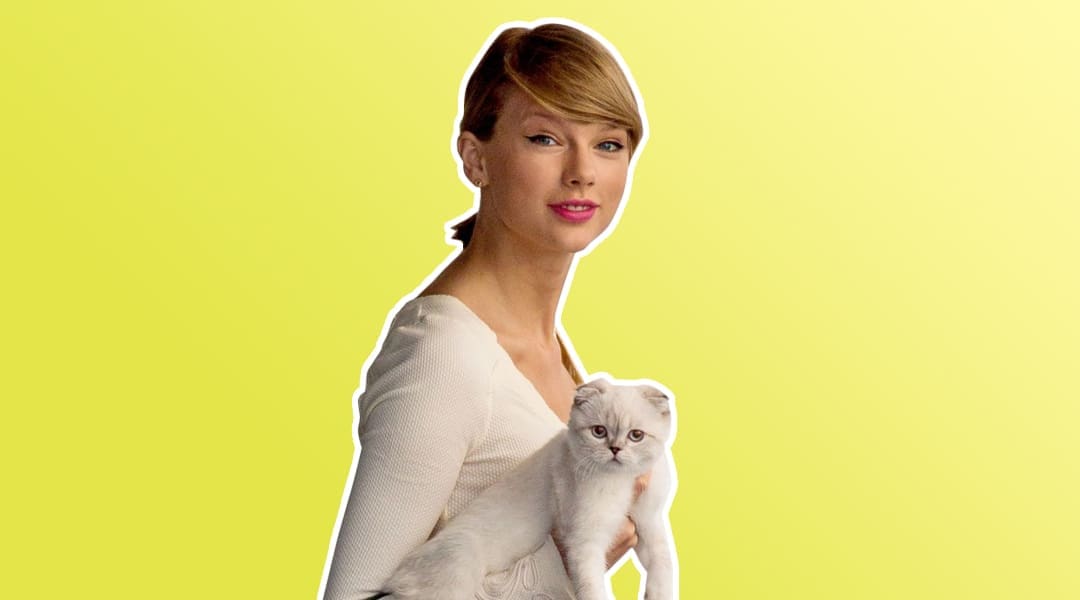 Taylor Swift's Cats, Meredith and Olivia Swift, Sell New Merchandise