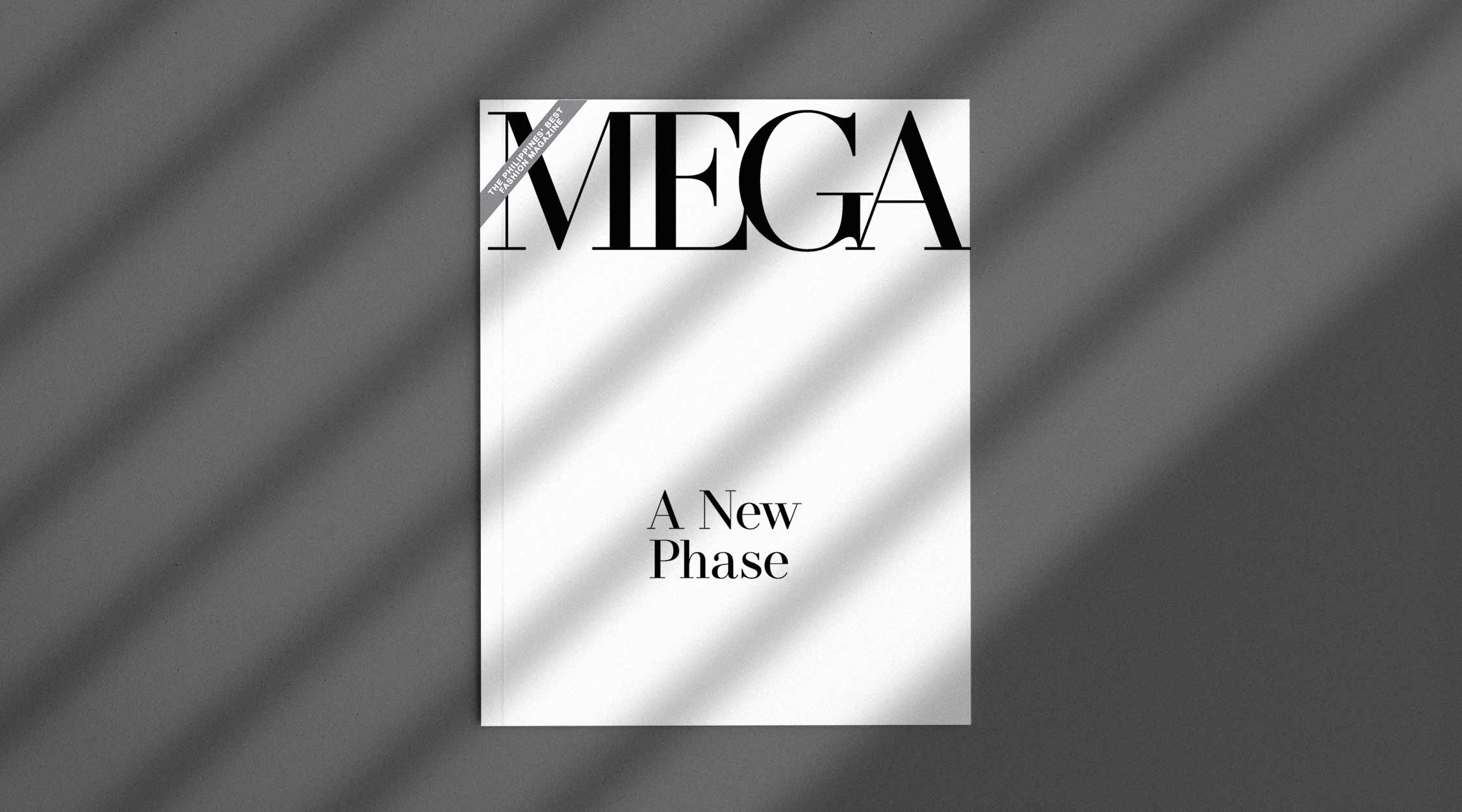 redesign story mega logo